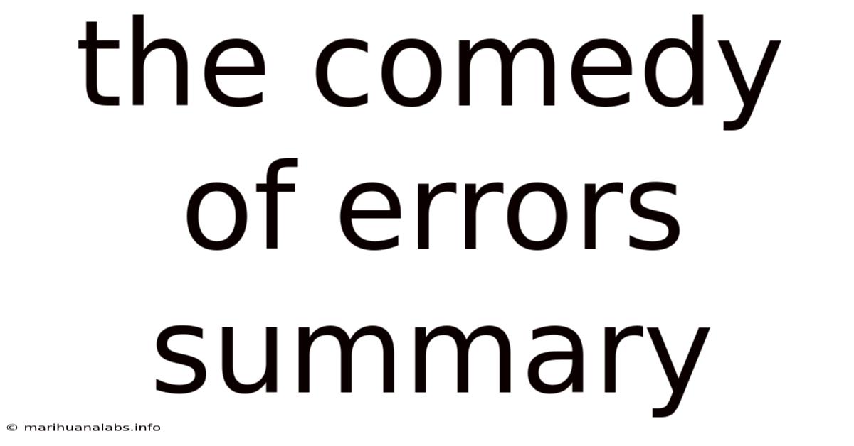The Comedy Of Errors Summary