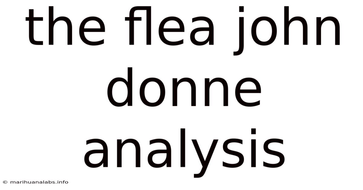 The Flea John Donne Analysis