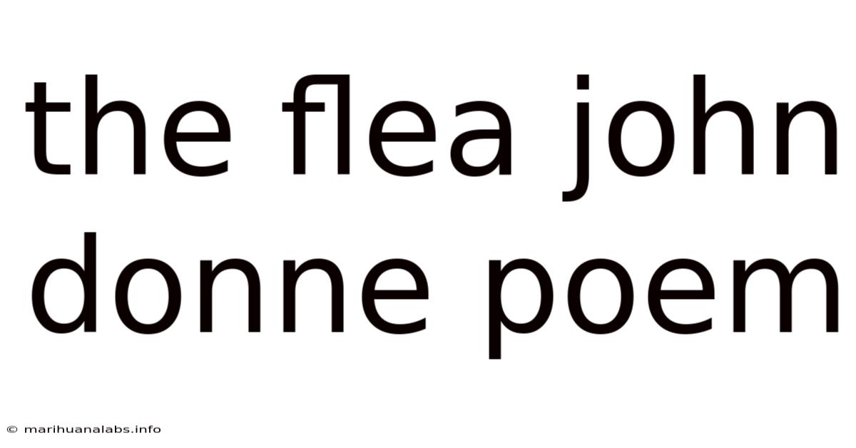 The Flea John Donne Poem