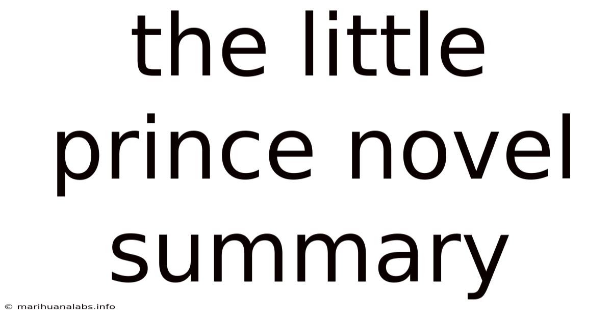 The Little Prince Novel Summary