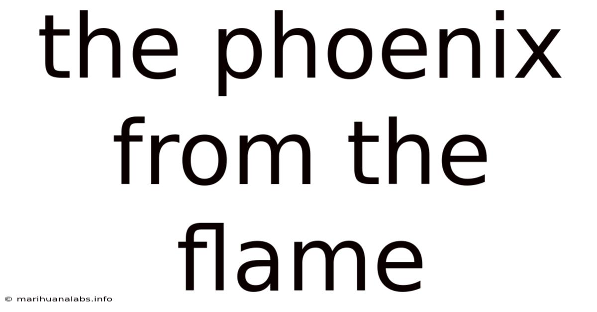 The Phoenix From The Flame