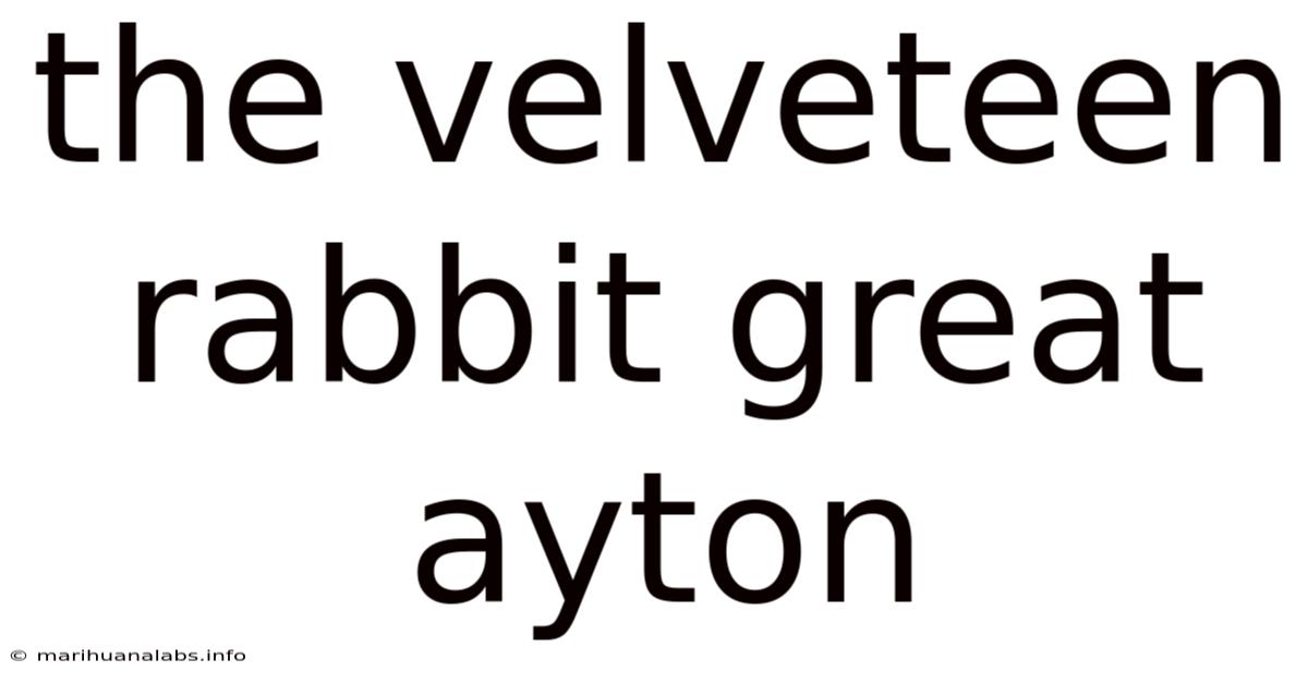 The Velveteen Rabbit Great Ayton