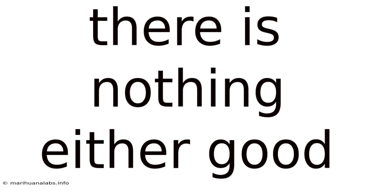 There Is Nothing Either Good
