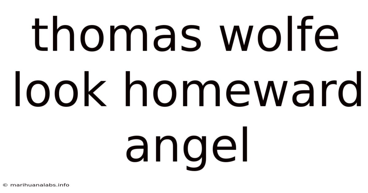 Thomas Wolfe Look Homeward Angel