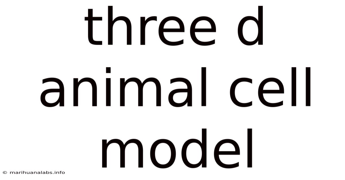 Three D Animal Cell Model