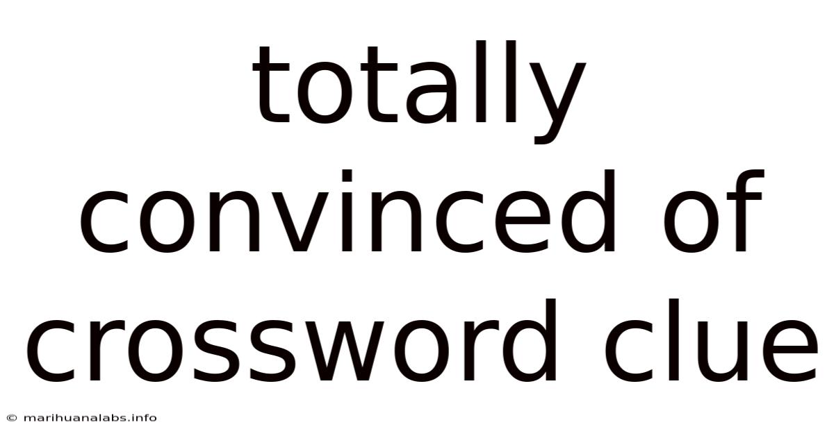 Totally Convinced Of Crossword Clue
