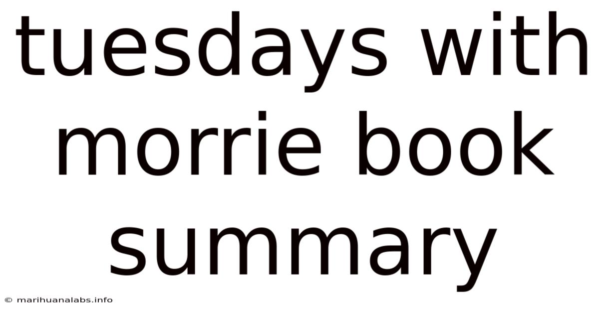 Tuesdays With Morrie Book Summary