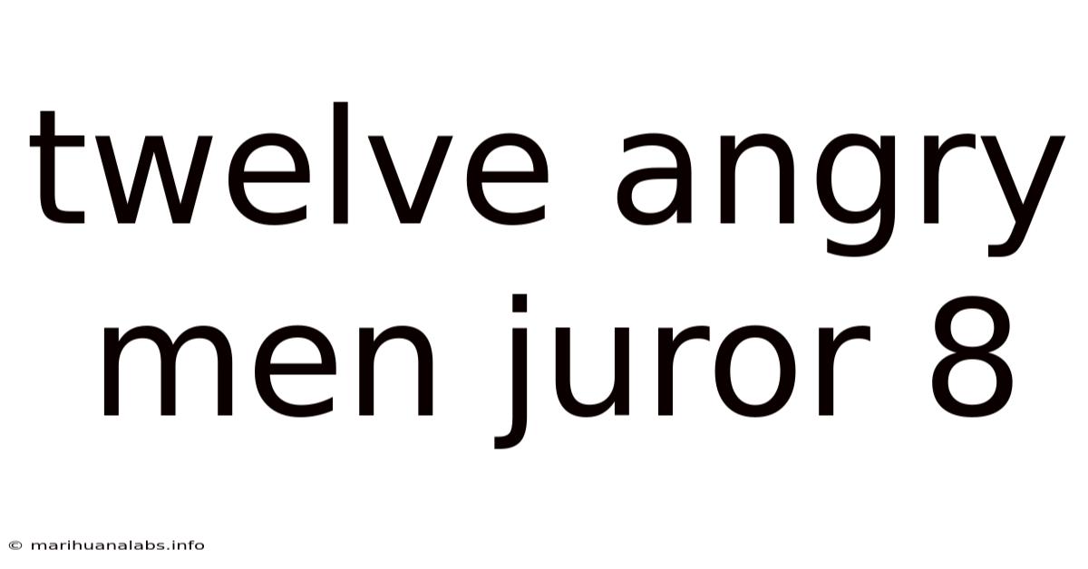 Twelve Angry Men Juror 8