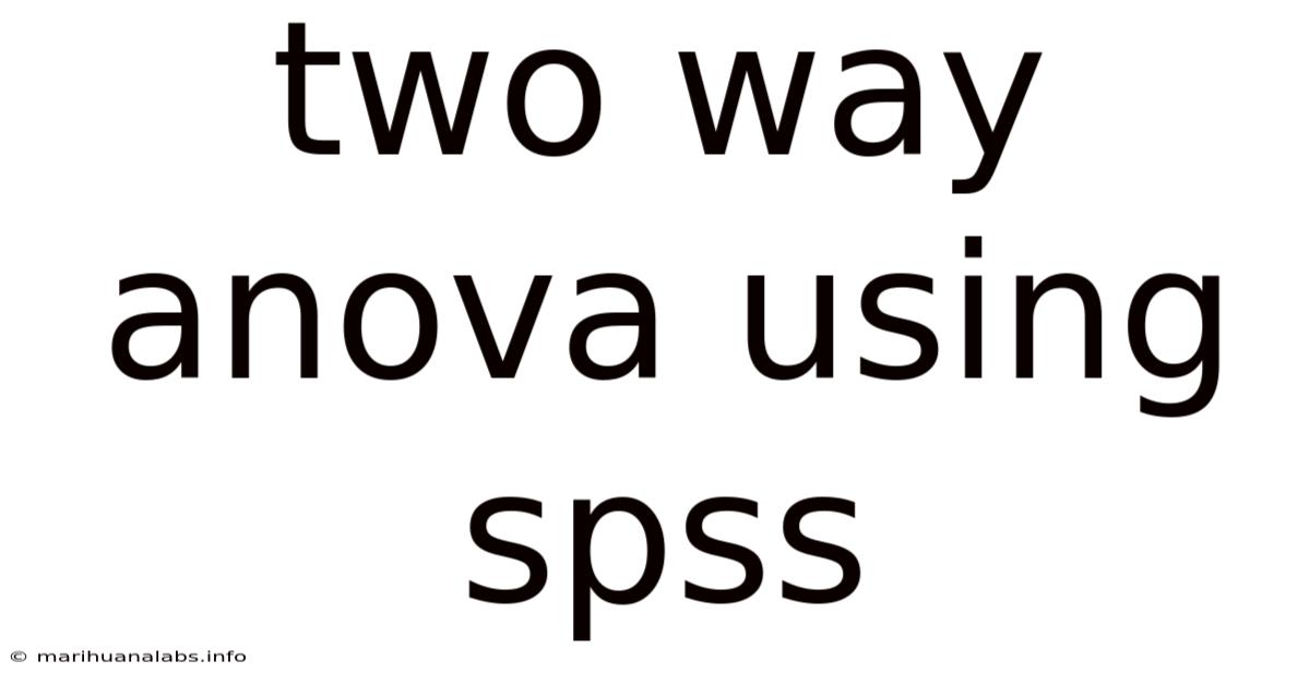Two Way Anova Using Spss
