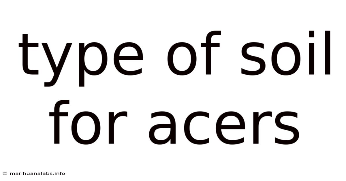 Type Of Soil For Acers