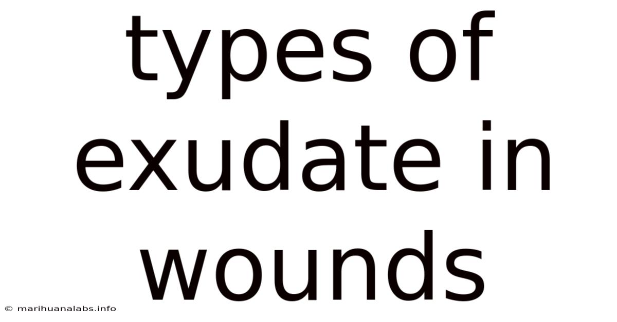 Types Of Exudate In Wounds