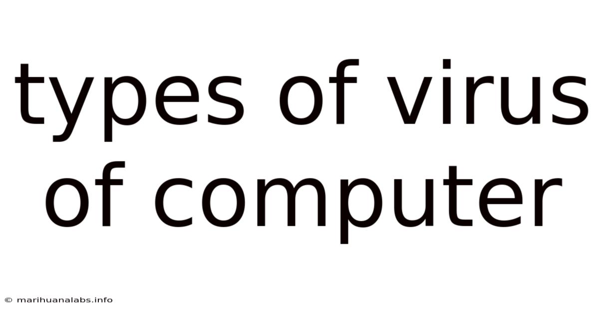 Types Of Virus Of Computer