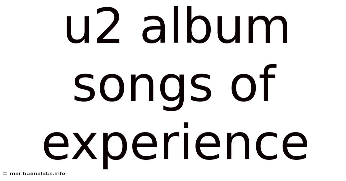 U2 Album Songs Of Experience