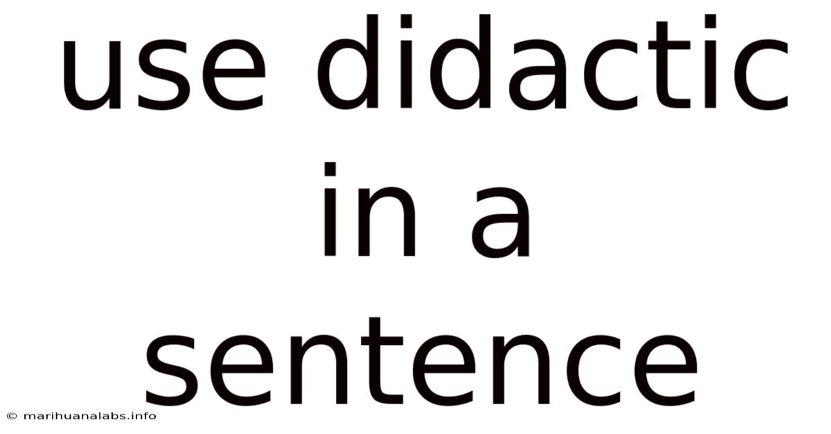Use Didactic In A Sentence
