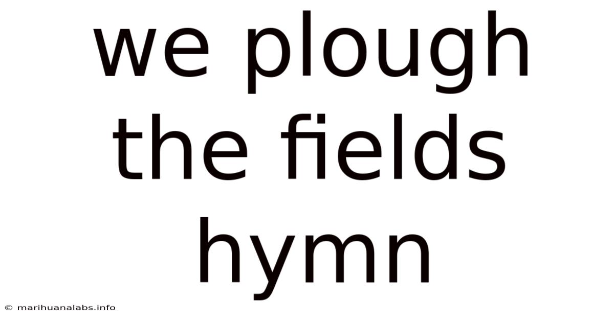 We Plough The Fields Hymn