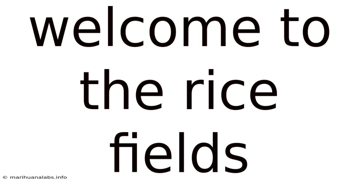 Welcome To The Rice Fields