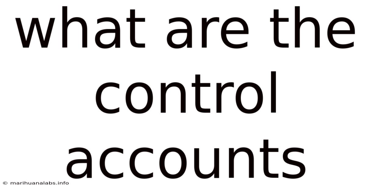 What Are The Control Accounts
