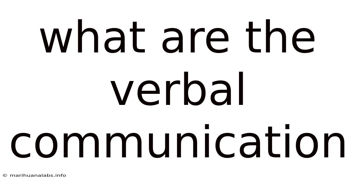 What Are The Verbal Communication