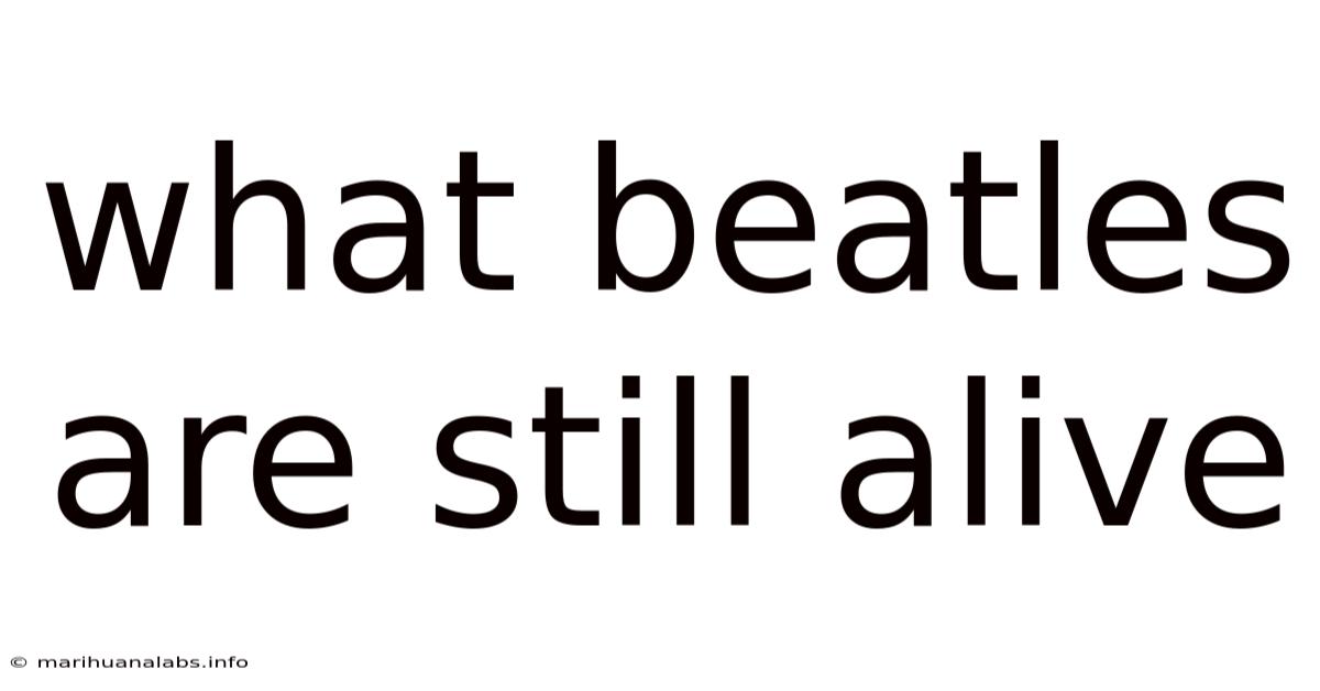 What Beatles Are Still Alive