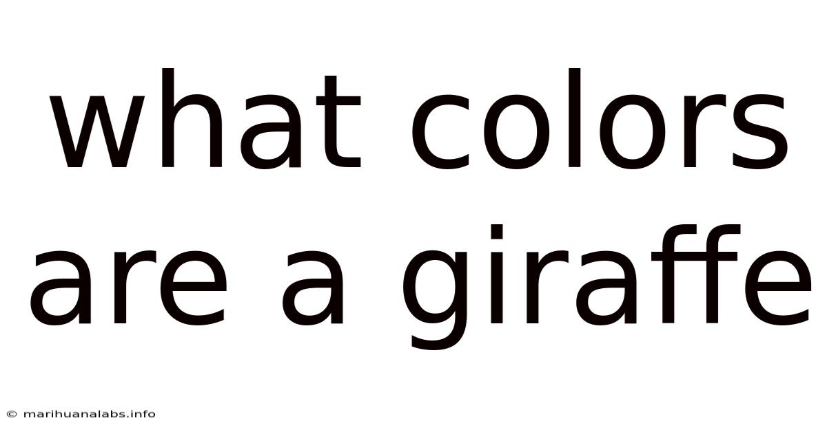 What Colors Are A Giraffe