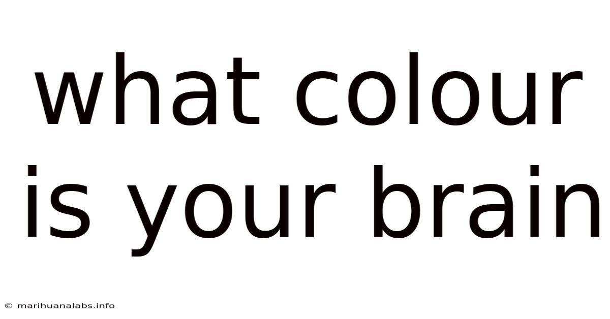 What Colour Is Your Brain