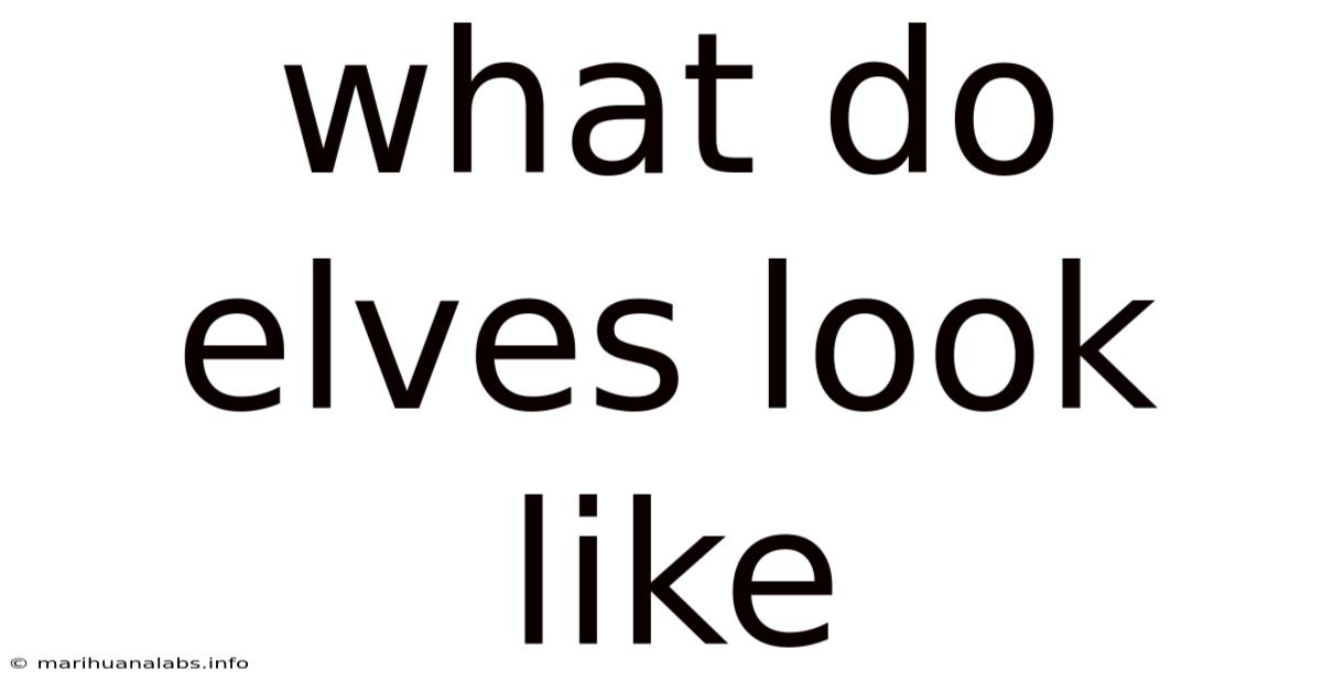 What Do Elves Look Like