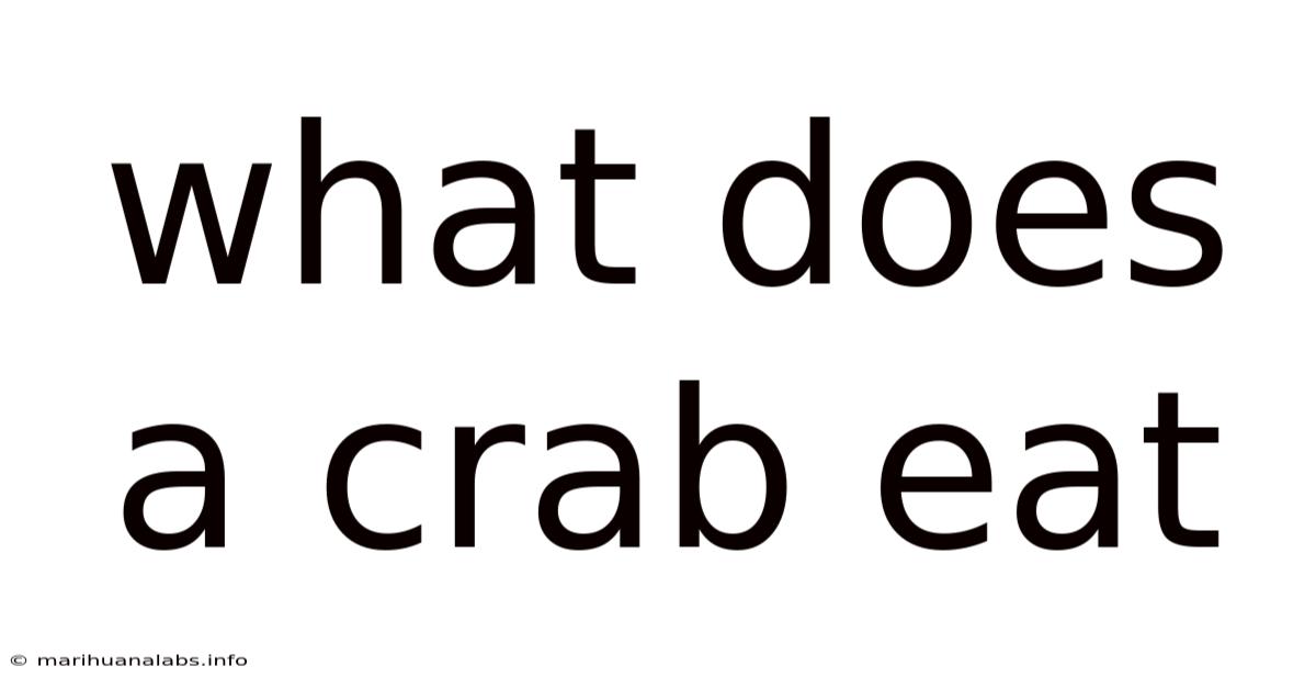 What Does A Crab Eat
