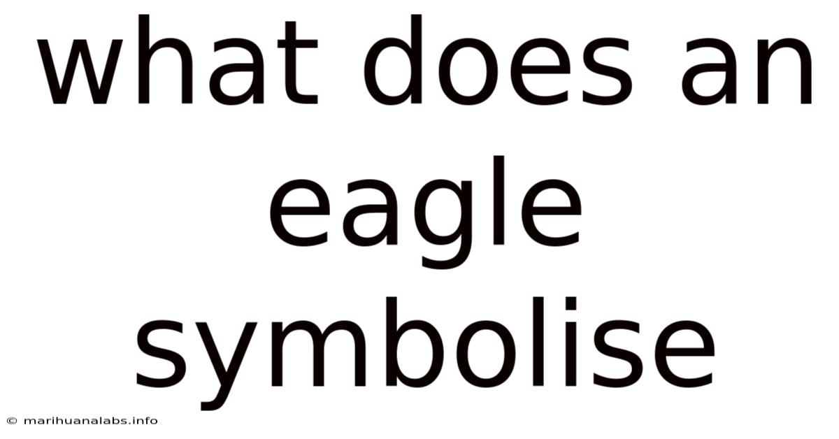 What Does An Eagle Symbolise