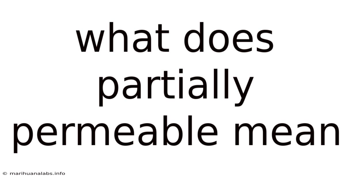 What Does Partially Permeable Mean