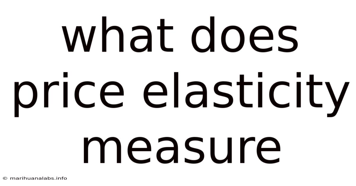 What Does Price Elasticity Measure
