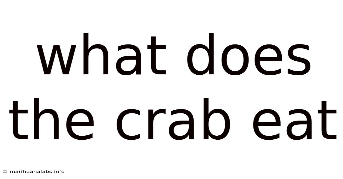 What Does The Crab Eat