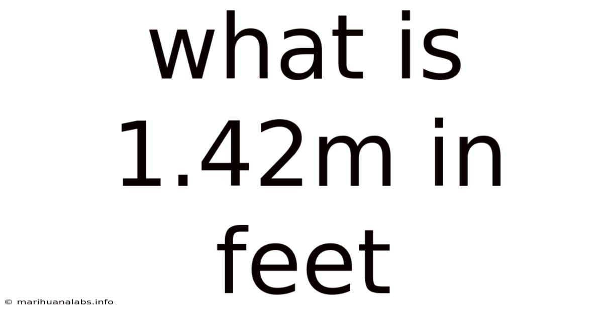 What Is 1.42m In Feet