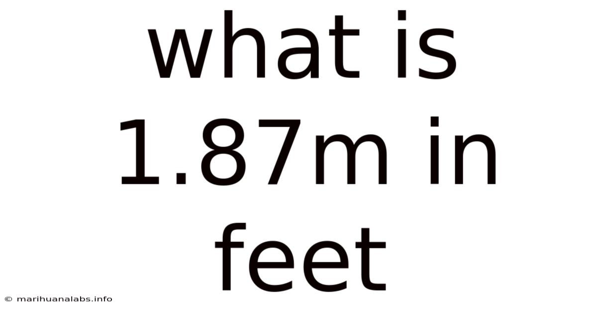 What Is 1.87m In Feet
