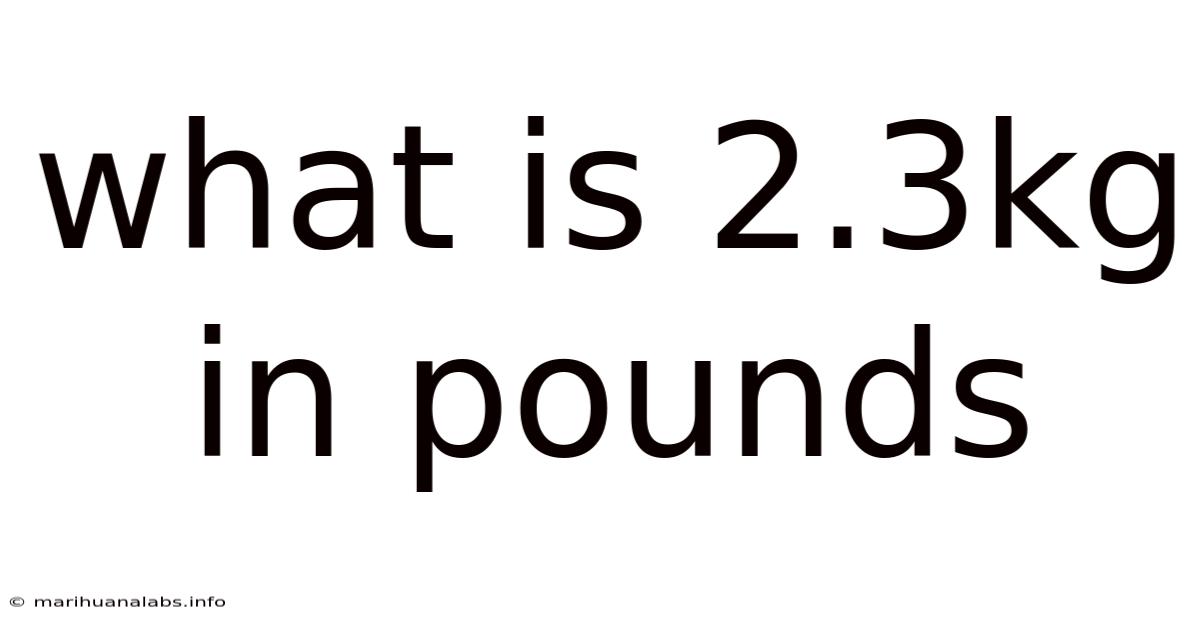 What Is 2.3kg In Pounds