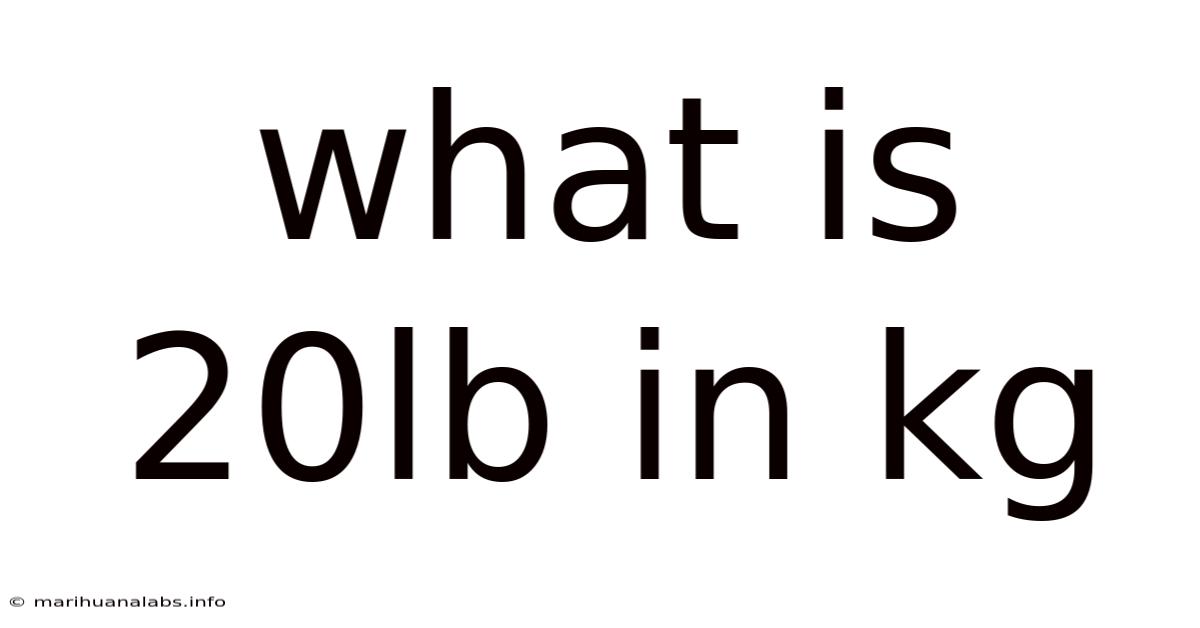 What Is 20lb In Kg