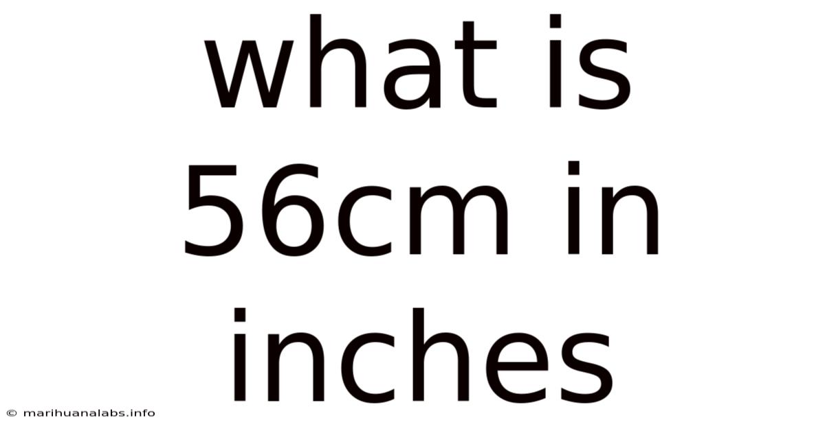 What Is 56cm In Inches