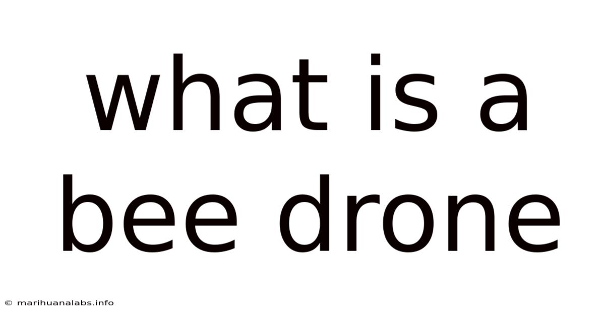 What Is A Bee Drone