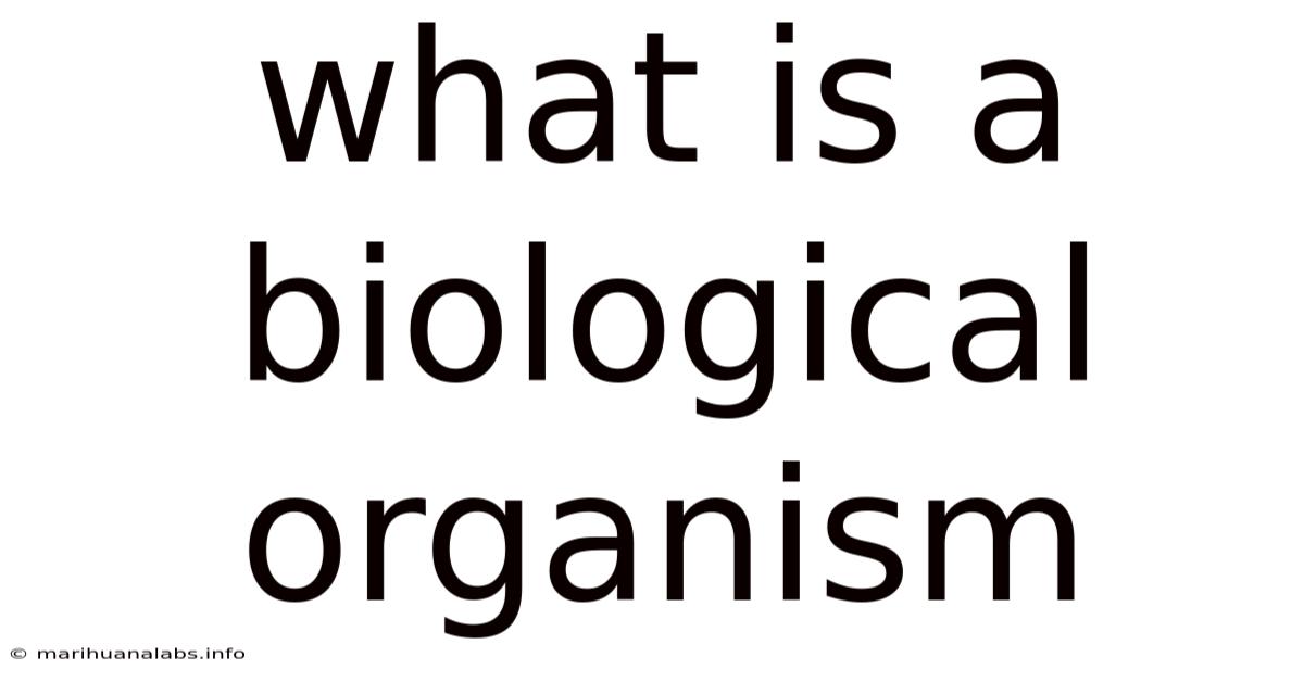 What Is A Biological Organism