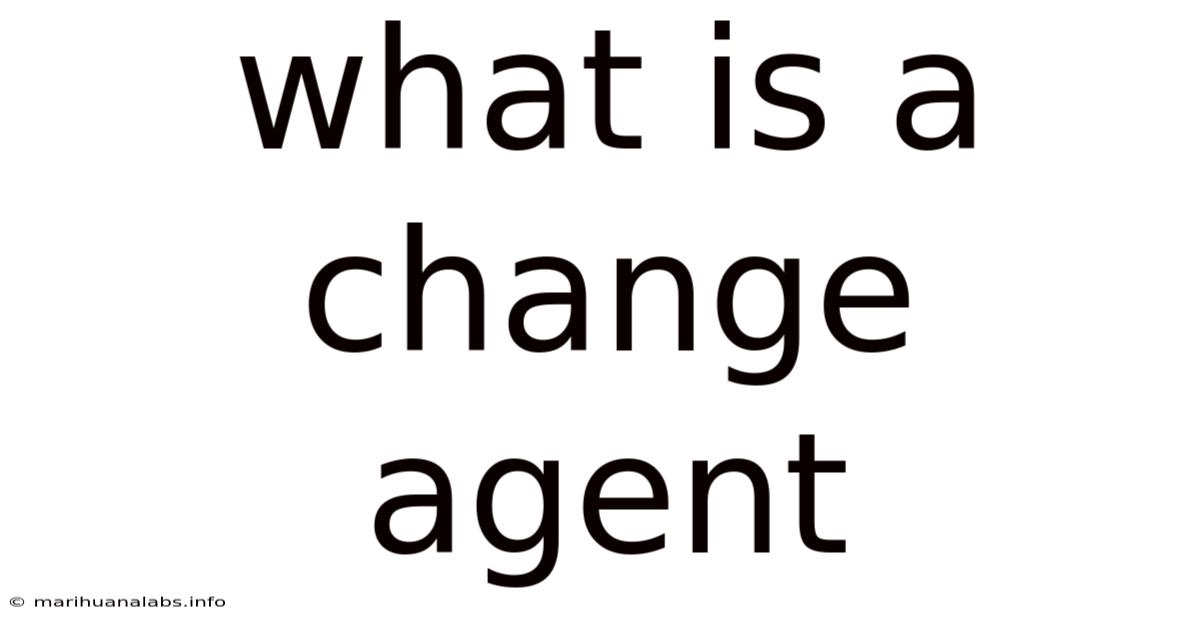 What Is A Change Agent