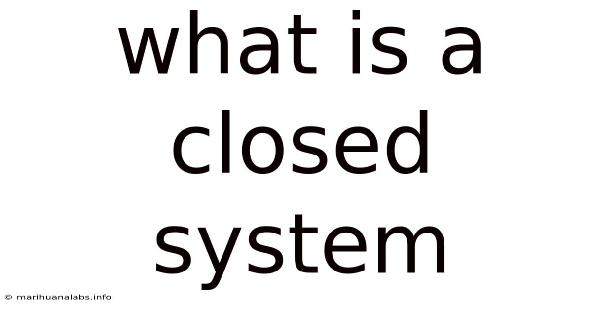 What Is A Closed System
