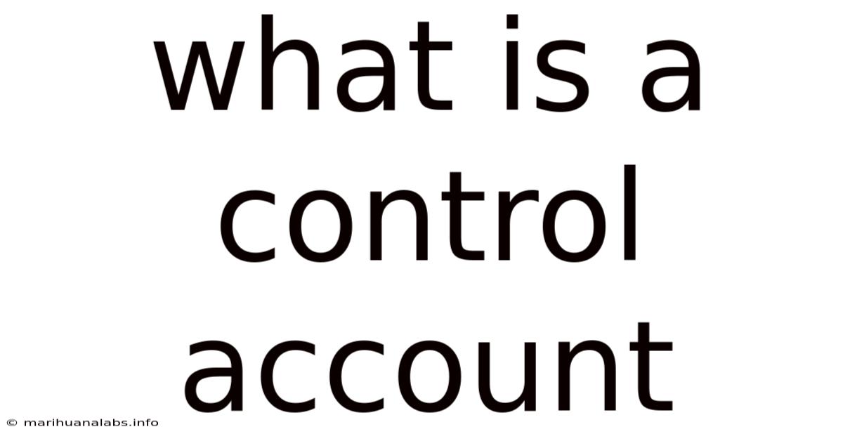 What Is A Control Account