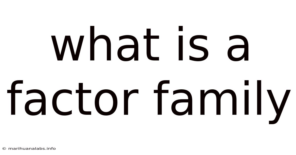 What Is A Factor Family