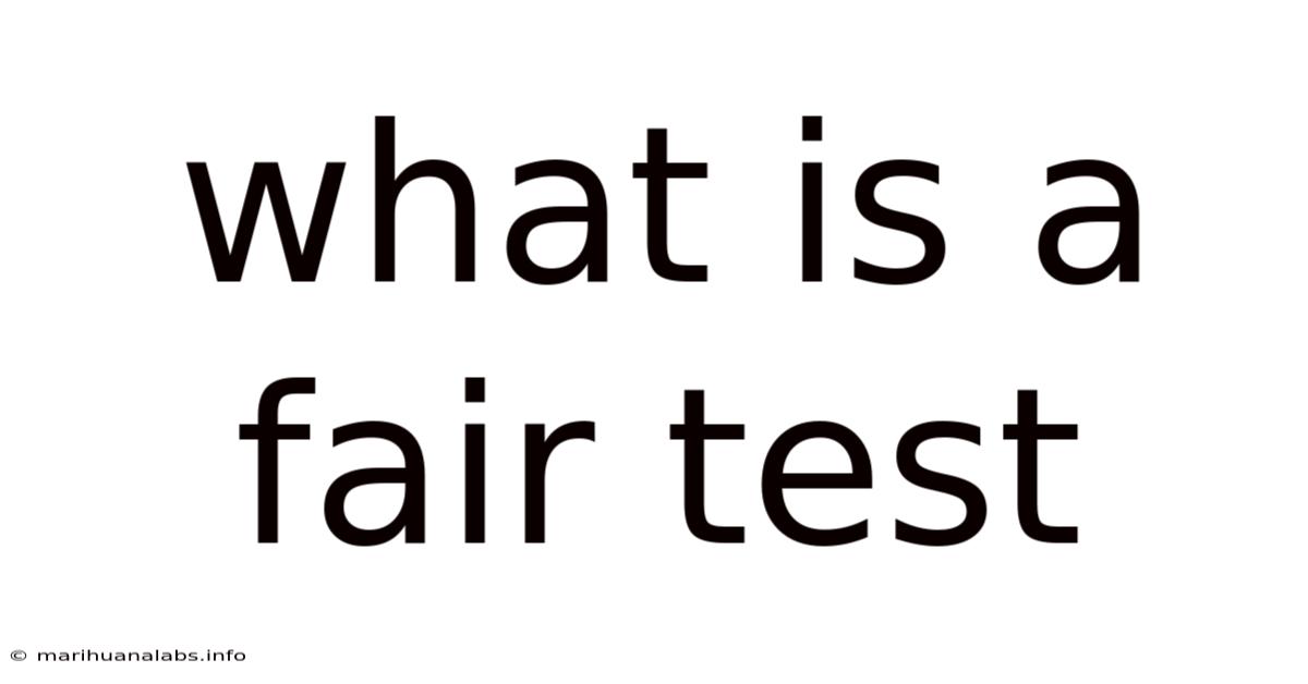 What Is A Fair Test