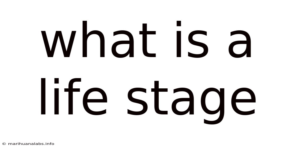 What Is A Life Stage