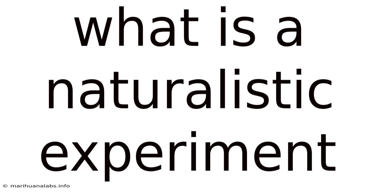 What Is A Naturalistic Experiment
