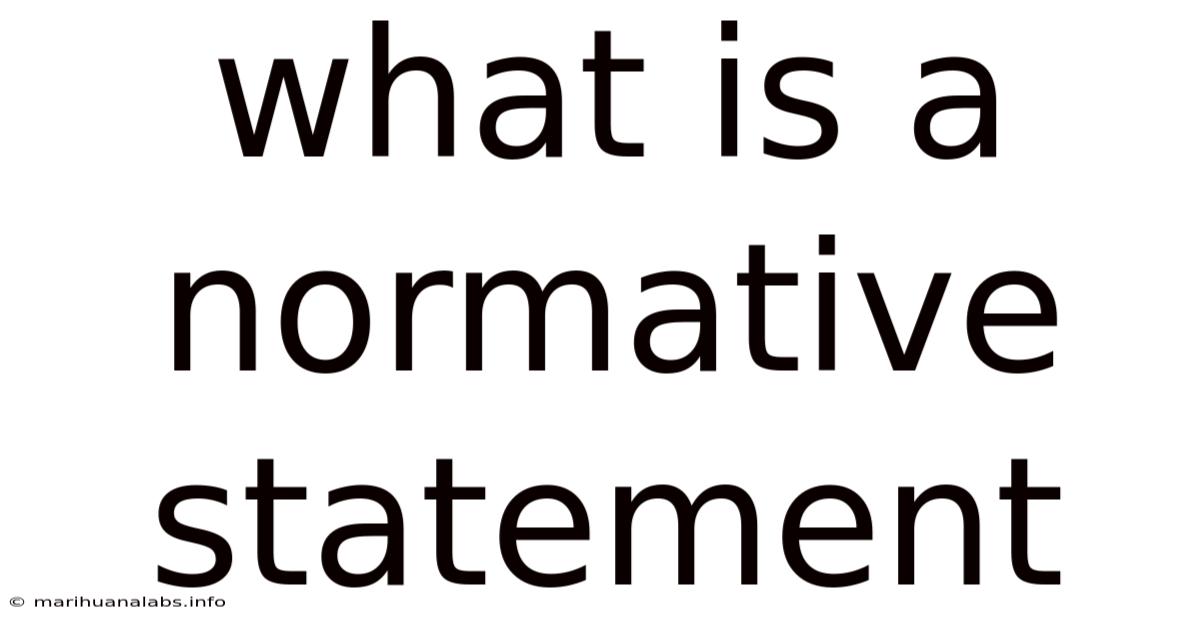 What Is A Normative Statement