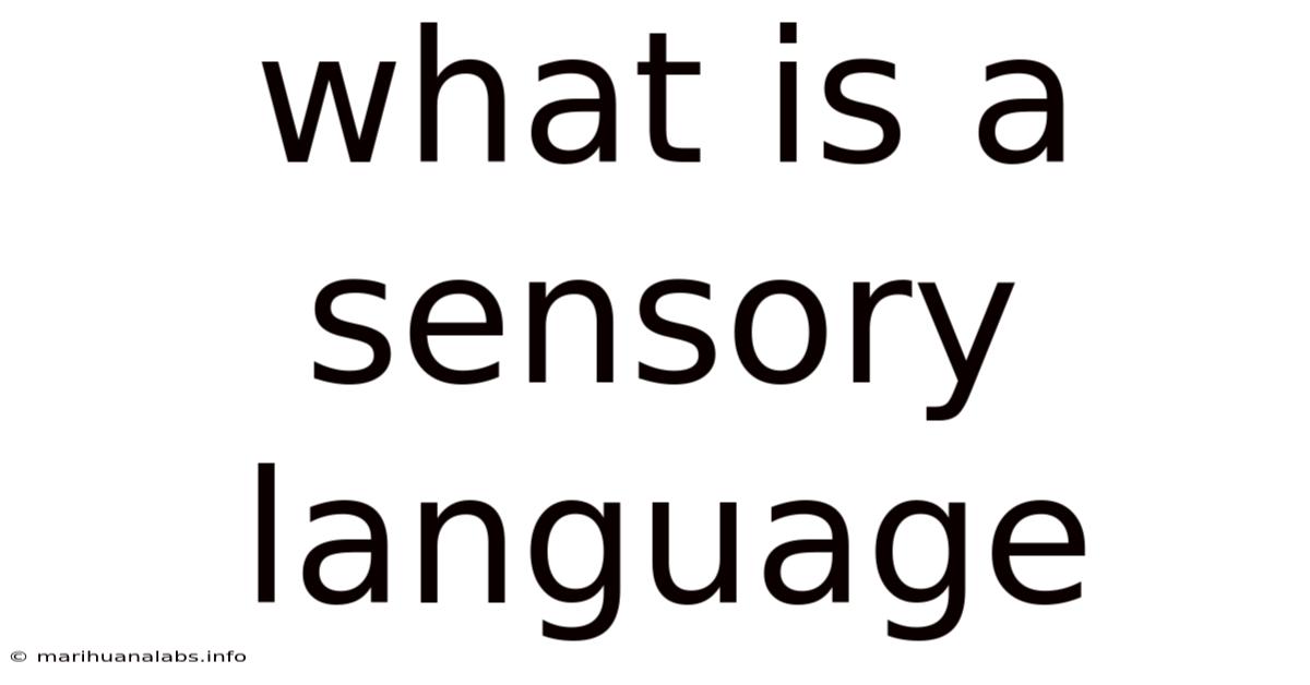 What Is A Sensory Language