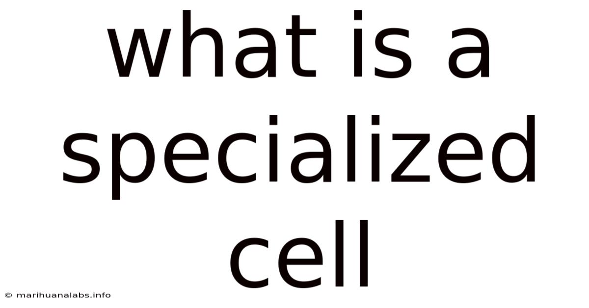 What Is A Specialized Cell