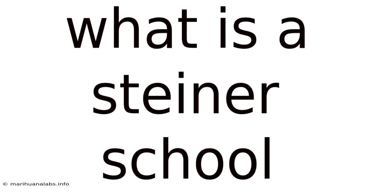 What Is A Steiner School