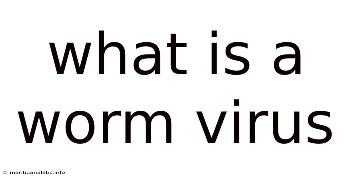 What Is A Worm Virus